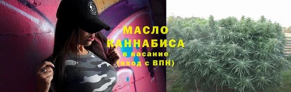индика Нефтекумск