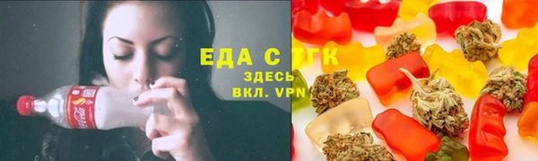 индика Нефтекумск