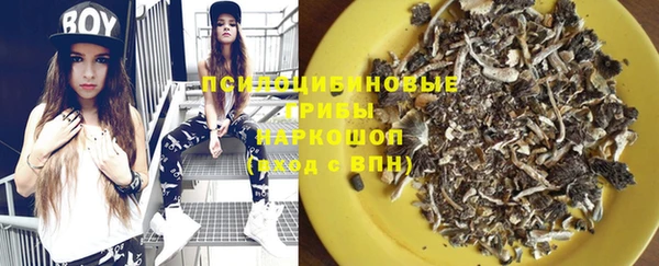 дурь Нея