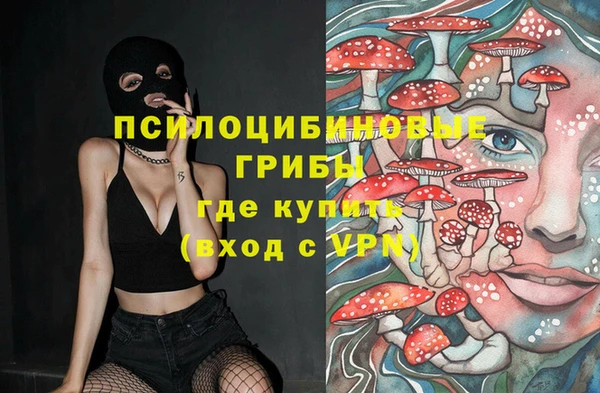 МДПВ Навашино
