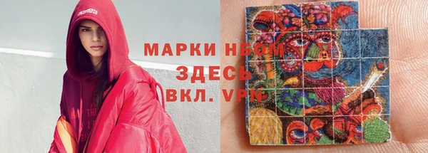 индика Нефтекумск