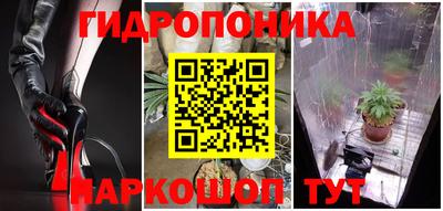 mdpv Гусев