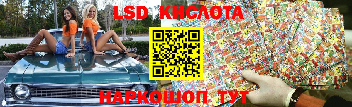 Псилоцибиновые грибы Калининград