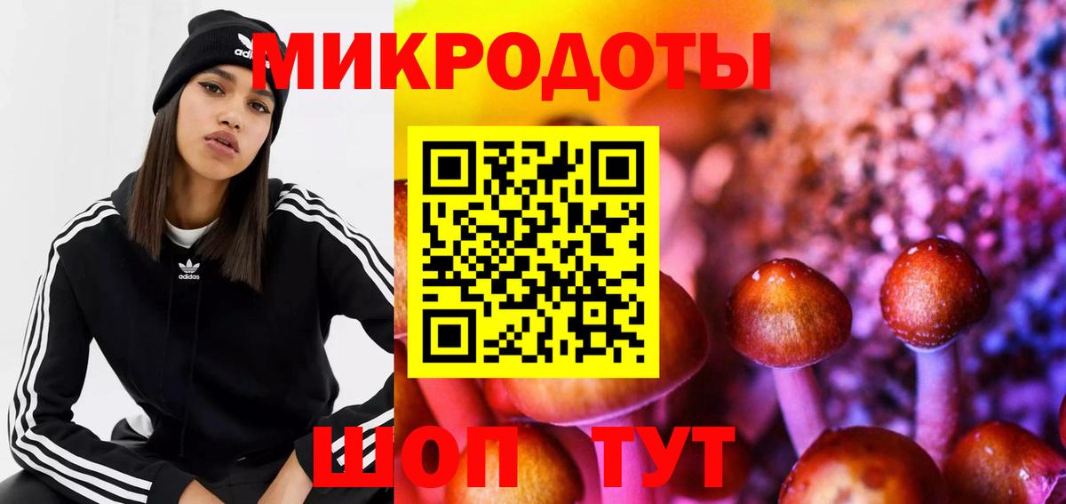 Псилоцибиновые грибы Psilocybine cubensis  Вход с VPN  Калининград 
