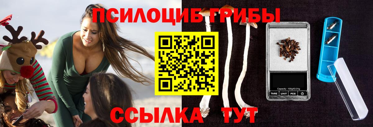 Псилоцибиновые грибы мухоморы  Калининград  Псилоцибиновые грибы прущие грибы 