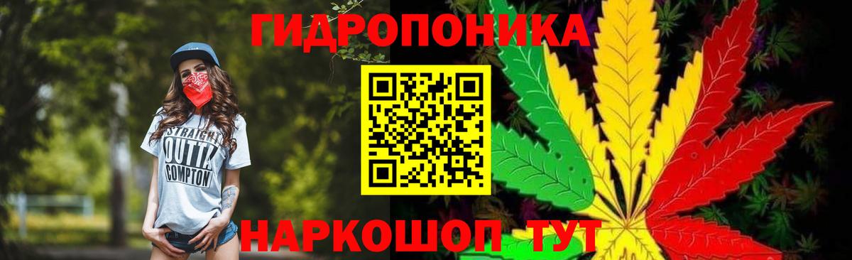 Бошки марихуана LSD WEED  Калининград  Канабис LSD WEED 